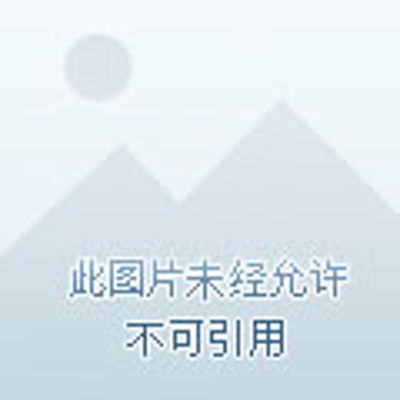 龙津镇百货选购指南：打造你的理想购物天堂